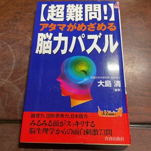 〈超難問！〉アタマがめざめる脳力パズル （プレイブックス） 大島清／編著