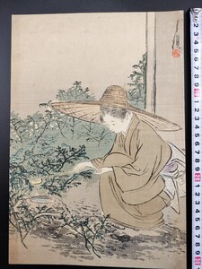 【真作】口絵 本物浮世絵木版画 尾形月耕「江戸美人」武者絵 明治期 錦絵 保存良い 清方 年方 玉堂 桂舟 半古 広業 月耕 永洗 華邨 英朋