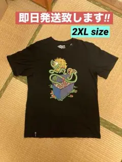 LRG Tシャツ　2XL