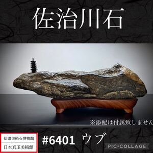 【一期一石フェア】水石 盆栽 佐治川石 ウブ横21×高8×奥行9(cm)重量:1.28kg 骨董盆石古美術中国古玩 6401