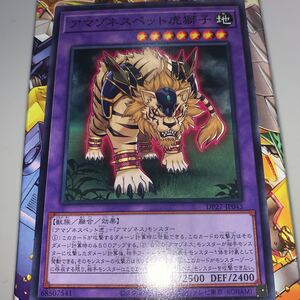 遊戯王　ノーマル　DP27-JP043　アマゾネスペット虎獅子　 デュエリストパック -輝石のデュエリスト編-