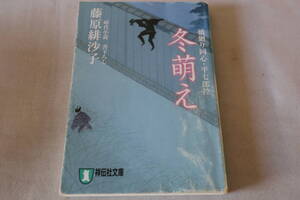 藤原緋沙子　★　橋廻り同心・平七郎控　冬萌え　★　祥伝社文庫/即決