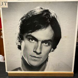 James Taylor 【JT】LP 国内盤 レコード CBS/Sony 25AP 580