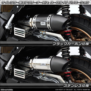 NMAX（8BJ-SEG6J）／NMAX155（8BK-SG66J）用サイレンサー型エアクリーナーKit（ユーロタイプ）