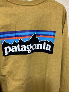 Patagonia パタゴニア ロング スリーブ P−6 ロゴ レスポン シビリティー 新品未使用 HAGL サイズM