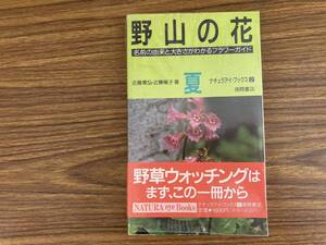 『野山の花 [夏]』 名前の由来と大きさがわかるフラワーガイド　/888