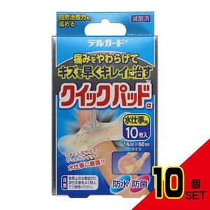 阿蘇製薬デルガードクイックパッド水仕事用10枚 × 10点