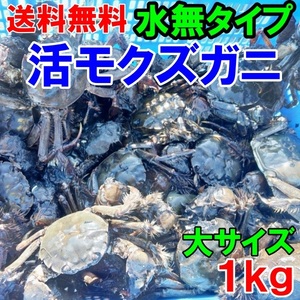 活モクズガニ「【海水なしタイプ】 大サイズ１kg」(目安 5-7杯) ツガニ つがに 宮城県松島湾産 他に大サイズも出品中 もくずがに