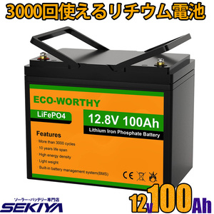 3000回使える 100AH リチウムイオンバッテリー 12V 1280Wh バッテリー リン酸鉄 リチウム電池 lifepo4 ディープサイクル EcoWorthy SEKIYA