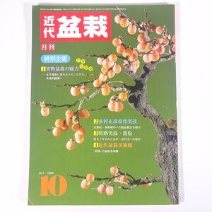 月刊 近代盆栽 No.108 1986/10 近代出版 雑誌 盆栽総合誌 園芸 ガーデニング 植物 特集・実物盆栽の魅力 木村正彦・五葉松 ほか