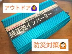 ⚠️ジャンク品SALE⚠️純正弦インバーター 1000Wピーク電力2000W