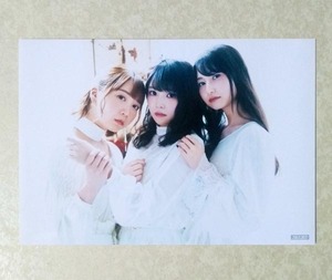 TrySail 声優アニメディア 2020年4月号 アニメイト ゲーマーズ とらのあな 特典 生写真 ブロマイド (麻倉もも/雨宮天/夏川椎菜)