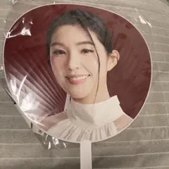 RED velvet うちわ グッズ アイリーン