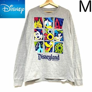 輸入古着 Disneyland Resort ディズニーランドリゾート ロンT キャラクタープリント