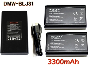 DMW-BLJ31 新品 互換バッテリー2個 DMW-BTC14 Type-C USB Dual 急速互換充電器 バッテリーチャージャー1個 Panasonic パナソニック DC-S1 H