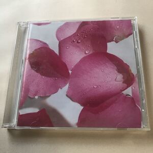 今井美樹　1CD「Blooming Ivory」