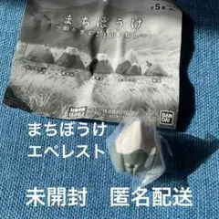 まちぼうけ　動かざること山の如し　エベレスト