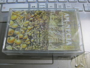 AM-NECIA / Extrema Corrupcion Ecuador製カセットテープ N.T.N. 