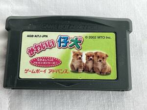 かわいい仔犬　GBA　起動画面あり　ゲームボーイ　ソフト　