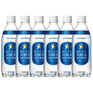 ポッカサッポロ おいしい炭酸水 ペットボトル 無糖0cal 500ml×20本