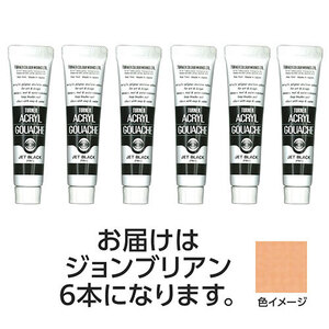 【6本×5セット】 ターナー色彩 アクリルガッシュ 11ml 30ジョンブリアン TURNER108811X5 /l