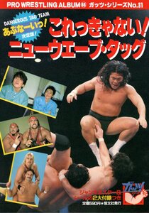 ★プロレスアルバム №65 ガッツ・シリーズ№31 これっきゃない！ ニューウェーブ・タッグ ロード・ウォーリアーズ クラッシュ・ギャルズ★