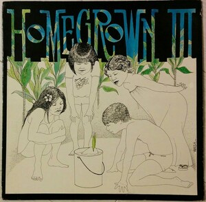 試聴/VA/Homegrown III/Kona Winds/1978/Hawaiian AOR/Free Soul/Light Mellow/Surf Rock/aloha got soul/Island/ハワイ/フラ