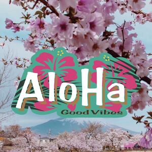 ハワイ Aloha Good Vibesステッカー USDM HDM アロハ in4mation HILIFE 808ALLDAY Arizona