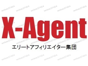 【仙人さん】X-Agent（実践ライブ全25動画）エリートアフィリエイター集団｜弟子チームの実践ライブ配信 動画はすべてmp4変換済み Mr.X