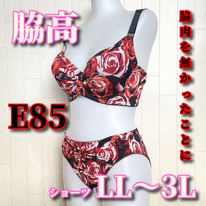 E85LL-3L☆脇肉を無かったことにするブラ 薔薇柄 脇高 ホック3段3列 ブラ&ショーツ レッド系 F859