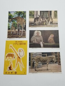 上野動物園　ポストカード 4枚　昭和17年　絵はがき