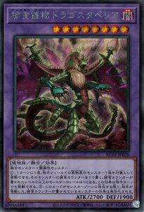 遊戯王 捕食植物ドラゴスタペリア(シークレットレア) レアコレ 2023 （RC04） プレデター プランツ 融合・効果モンスター 植物族