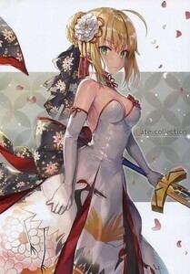 「Fate collection」さしみねこ屋　フルカラーイラスト集　アーサー・ペンドラゴン FGO 同人誌