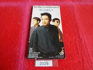 8cm／CD／To Be Continued／君だけを見ていた／トゥ・ビー・コンティニュード／きみだけをみていた／管2029