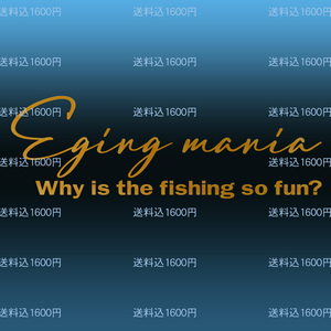 〇エギングマニア　Sportsmind風　餌木釣りステッカー Why is the fishing so fun?どうして釣りはこんなに楽しいのか？NO521E