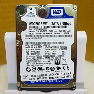 HD4591★WesternDigital★2.5インチHDD★250GB★WD2500BEVT★即決！