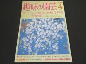 本 No1 01747 NHK 趣味の園芸 2004年4月号 春からスタート! 人気草花&春植え球根大全集 ペチュニア ペラルゴニウム バーベナ スズラン 果樹