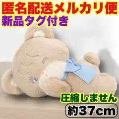 【ラテ】mikko characters おねんねBIGぬいぐるみ