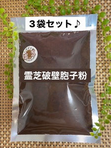 新入荷！3袋セット！破壁霊芝胞子粉 150g 霊芝100% 無添加 無防腐剤 霊芝 胞子粉