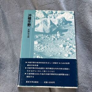 沖積平野 井関弘太郎 東京大学出版会