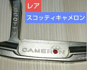 ＳＣＯＴＴＹ　ＣＡＭＥＲＯＮ　ＳＴＵＤＩＯ　ＳＴＡＩＮＬＥＳＳ　ＮＥＷＰＯＲＴ