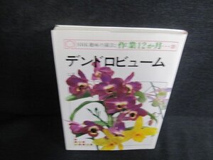 趣味の園芸作業12ヵ月　20　デンドロビューム　シミ日焼け有/JDK