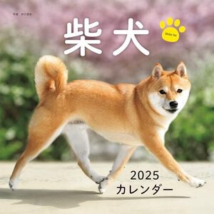 2025年カレンダー 柴犬 (誠文堂新光社カレンダー)