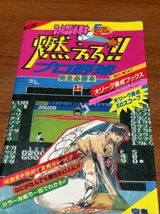 FC　　ファミコン必勝本　　燃えろ！！　プロ野球　　完全必勝本