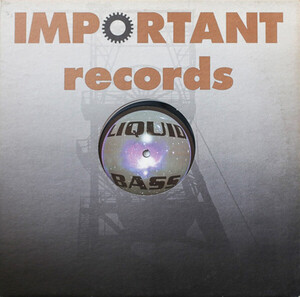 独12 Liquid Bass Acid Raiser IMP006 Important Records /00250