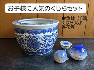 【金魚鉢洋蓮＆くじら4点セット】くじら大小　浮花　浮き玉　メダカ鉢　睡蓮鉢