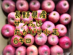 長野県産　サンふじ　丸かじり小玉