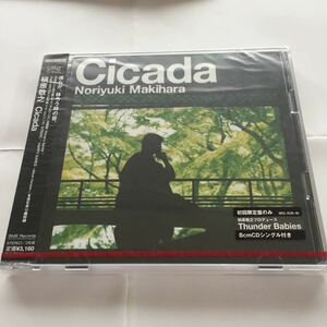 【新品未開封】槇原敬之 CICADA 初回限定盤