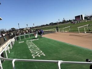 競馬必勝法　ルメール 騎手で勝つ