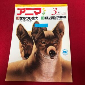 Ac-296/Anima アニマ 1989年3月号No.198 平凡社発行 特集:世界の野生犬 ディンゴ・リカオン・ヤブイヌ 華麗なる寄生の手練手管 他/L1/7020